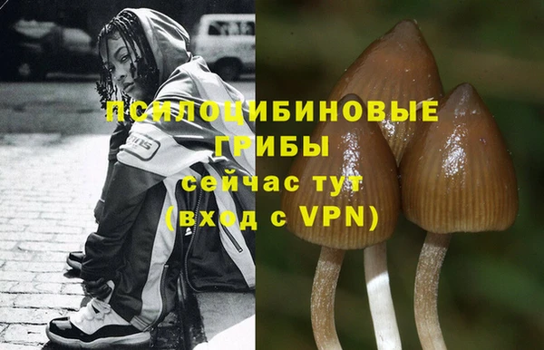 твердый Абдулино