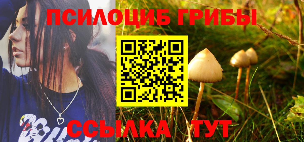 Россошь  Псилоцибиновые грибы прущие грибы  Вход с VPN  Галлюциногенные грибы GOLDEN TEACHER 
