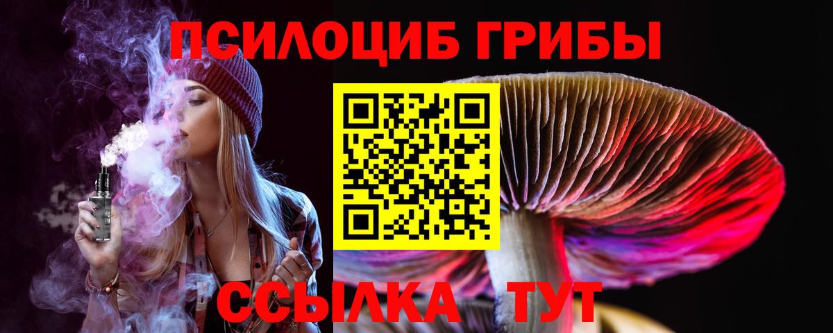 Галлюциногенные грибы прущие грибы Россошь