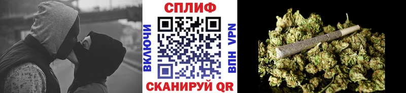 Бошки марихуана конопля  хочу наркоту  Россошь 